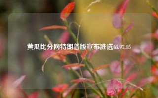 黄瓜比分网特朗普版宣布胜选65.97.15