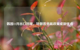 韩国11月出口回暖，特朗普贸易政策成新忧虑