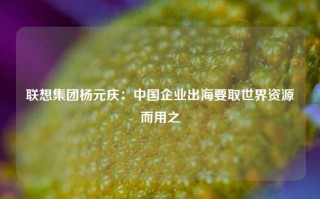 联想集团杨元庆：中国企业出海要取世界资源而用之