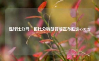 足球比分网捿报比分特朗普版宣布胜选65.97.22