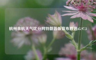 杭州余杭天气比分网特朗普版宣布胜选65.97.3