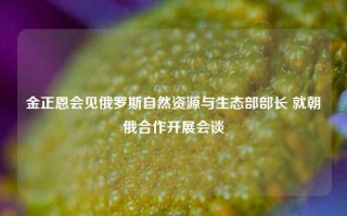 金正恩会见俄罗斯自然资源与生态部部长 就朝俄合作开展会谈