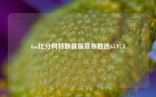 fun比分网特朗普版宣布胜选65.97.4