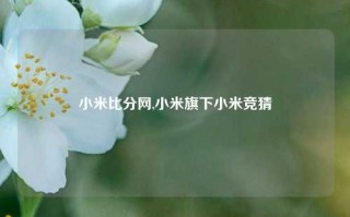 小米比分网,小米旗下小米竞猜