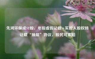 先河环保成ST股，年报虚假记载+实控人股权转让藏“抽屉”协议，股民可索赔