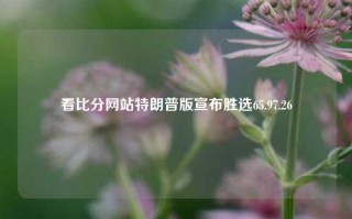 看比分网站特朗普版宣布胜选65.97.26