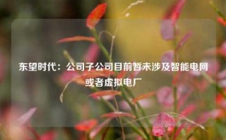 东望时代：公司子公司目前暂未涉及智能电网或者虚拟电厂