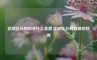 足球比分网的中什么意思,足球比分网有哪些好用