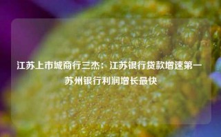 江苏上市城商行三杰：江苏银行贷款增速第一 苏州银行利润增长最快