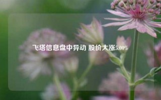 飞塔信息盘中异动 股价大涨5.00%