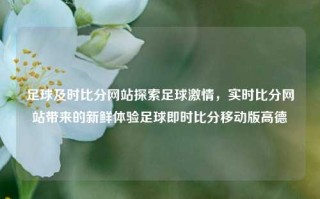 足球及时比分网站探索足球激情，实时比分网站带来的新鲜体验足球即时比分移动版高德