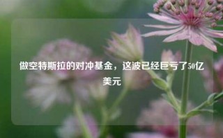 做空特斯拉的对冲基金，这波已经巨亏了50亿美元