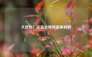 大逆转！证监会释放密集利好