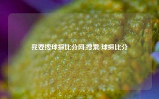 我要搜球探比分网,搜索 球探比分