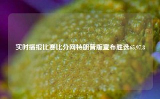 实时播报比赛比分网特朗普版宣布胜选65.97.8