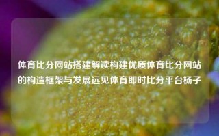 体育比分网站搭建解读构建优质体育比分网站的构造框架与发展远见体育即时比分平台杨子