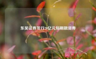 东吴证券发行20亿元短期融资券