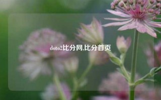 doto2比分网,比分首页