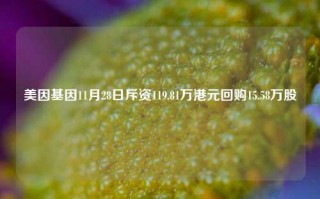 美因基因11月28日斥资119.81万港元回购15.58万股