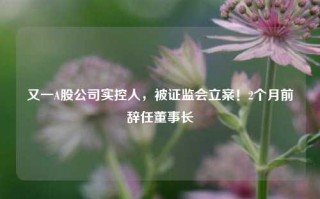 又一A股公司实控人，被证监会立案！2个月前辞任董事长