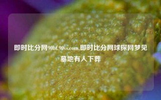 即时比分网90bf.90vs.com,即时比分网球探网梦见墓地有人下葬