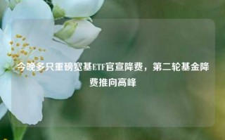 今晚多只重磅宽基ETF官宣降费，第二轮基金降费推向高峰