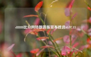 s88888比分网特朗普版宣布胜选65.97.13