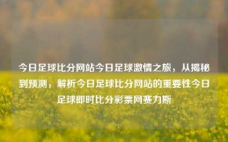 今日足球比分网站今日足球激情之旅，从揭秘到预测，解析今日足球比分网站的重要性今日足球即时比分彩票网赛力斯