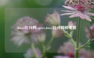 dota2比分网esport,dota2比分网极电竞