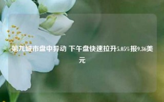 第九城市盘中异动 下午盘快速拉升5.05%报9.36美元