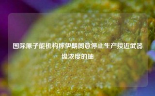 国际原子能机构称伊朗同意停止生产接近武器级浓度的铀