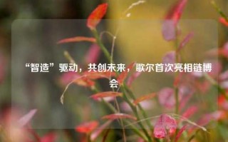 “智造”驱动，共创未来，歌尔首次亮相链博会