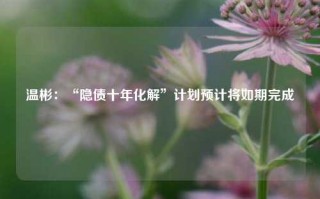 温彬：“隐债十年化解”计划预计将如期完成