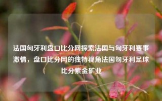 法国匈牙利盘口比分网探索法国与匈牙利赛事激情，盘口比分网的独特视角法国匈牙利足球比分紫金矿业