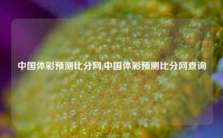 中国体彩预测比分网,中国体彩预测比分网查询