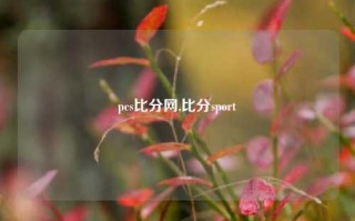 pcs比分网,比分sport