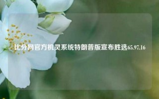 比分网官方机灵系统特朗普版宣布胜选65.97.16