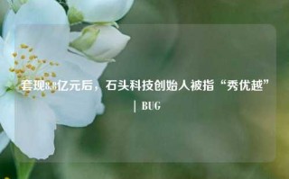 套现8.8亿元后，石头科技创始人被指“秀优越” | BUG