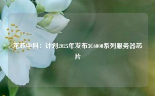 龙芯中科：计划2025年发布3C6000系列服务器芯片