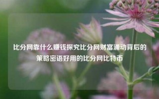 比分网靠什么赚钱探究比分网财富涌动背后的策略密语好用的比分网比特币