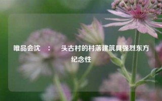 唯品会沈旻：塱头古村的村落建筑具强烈东方纪念性