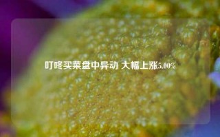 叮咚买菜盘中异动 大幅上涨5.00%