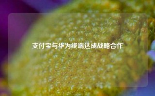 支付宝与华为终端达成战略合作