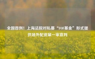 全国首例！上海法院对私募“FOF基金”形式提供场外配资案一审宣判