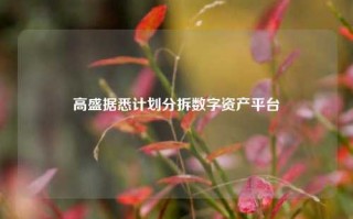 高盛据悉计划分拆数字资产平台