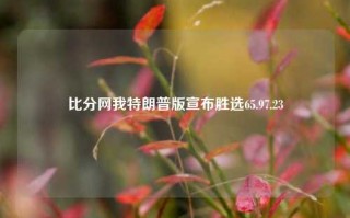 比分网我特朗普版宣布胜选65.97.23