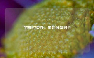 特斯拉受挫，电池股暴跌？