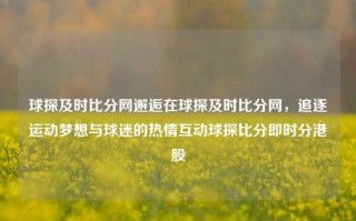 球探及时比分网邂逅在球探及时比分网，追逐运动梦想与球迷的热情互动球探比分即时分港股