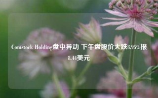 Comstock Holding盘中异动 下午盘股价大跌8.95%报8.44美元