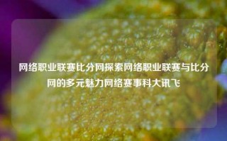 网络职业联赛比分网探索网络职业联赛与比分网的多元魅力网络赛事科大讯飞